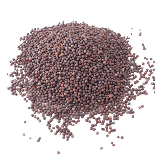 Brown Mustard Seeds Exporter, Bold and Micro sortex quality | Premium Indian Quality | Lineark Global