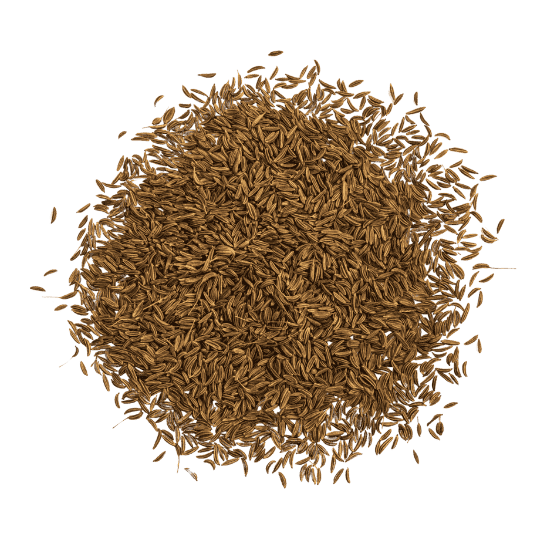 Caraway Seeds Import and Export | Premium Dutch Quality | Lineark Global