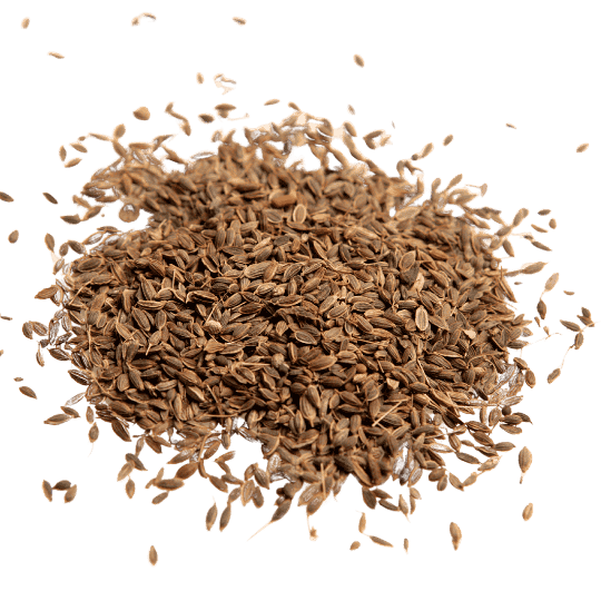 Export-quality cumin seeds, varieties like Singapore 99, Europe 99, Premium Bold, machine-cleaned, and sortex-cleaned in 25Kg and 50Kg packaging