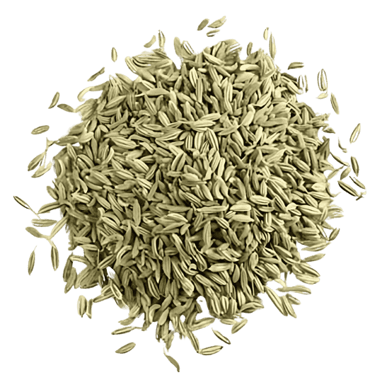 Fennel Seeds