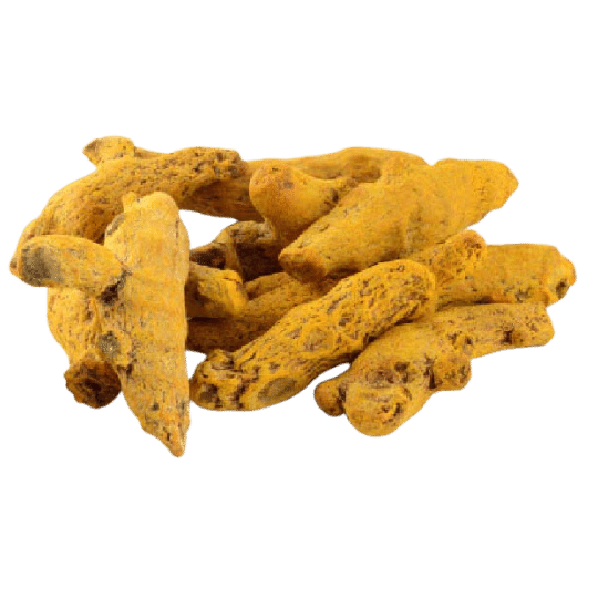 Turmeric Fingers Exporter - Salem, Erode, Single Double polished, Tukdi Varieties, curcumin level | Lineark Global