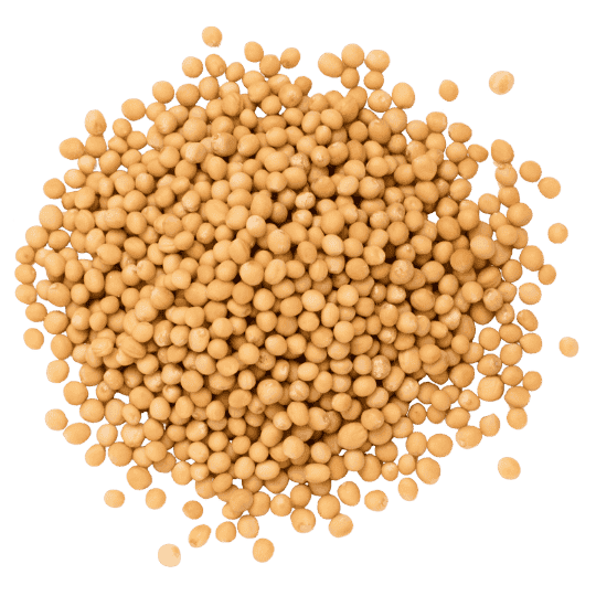 Yellow Mustard Seeds (Sarso) | Bold and Micro Premium Sortex Quality | Exporter from India | Lineark Global