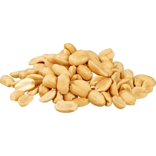 Java Bold Peanuts Exported from Gujarat, India | Premium Quality