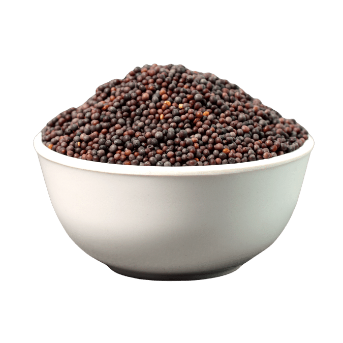 Brown Mustard Seeds - Premium Quality Export from India