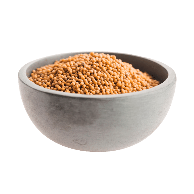 Yellow Mustard Seeds – Premium Quality from India